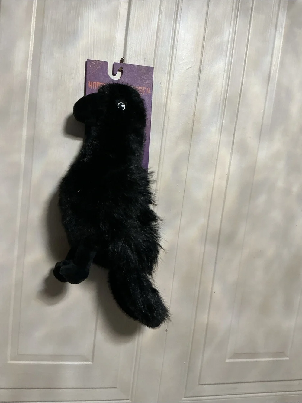 Crow 12